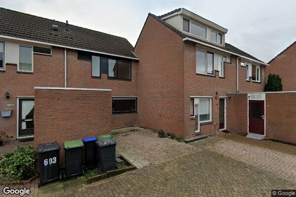 Straatview Zebraspoor 601